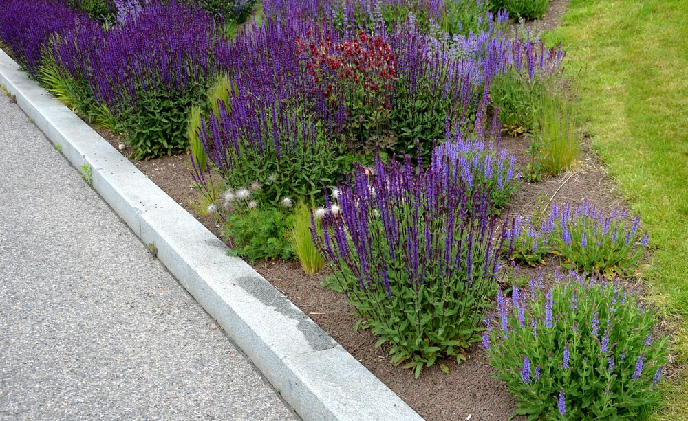 Obrzeża chodnikowe betonowe wykorzystywane są często w ogrodach.