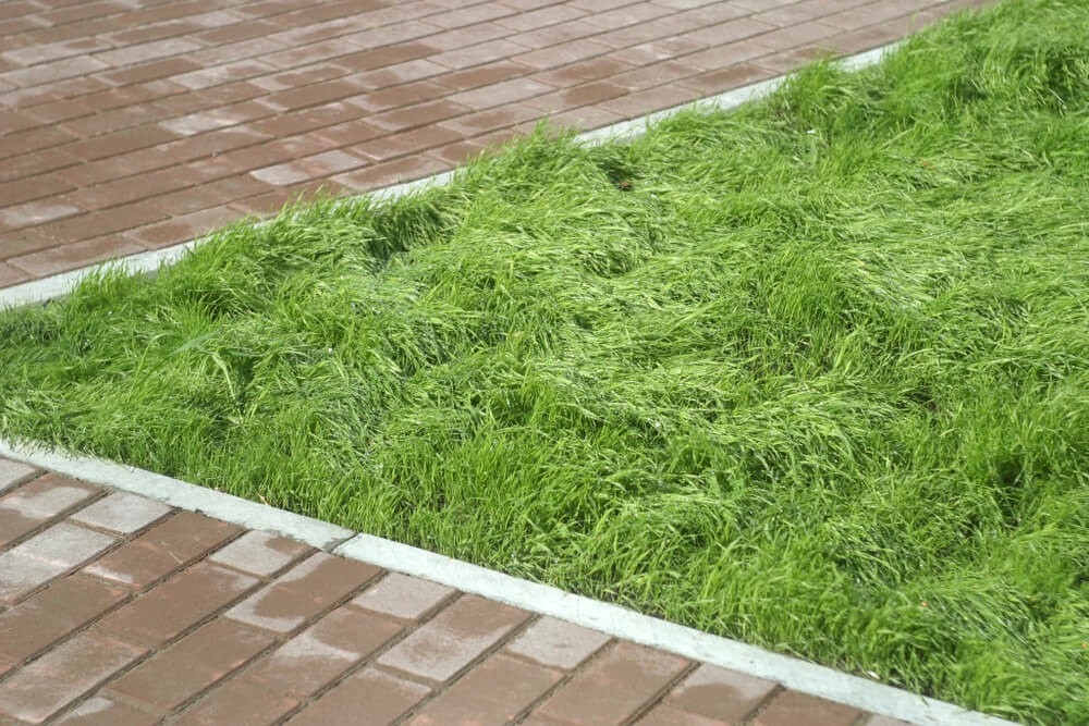 Krawężnik betonowy ułatwi oddzielenie trawnika i rabat od ogrodowych ścieżek